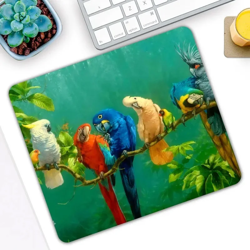 Tapis de jeu Animal oiseau perroquet tapis de souris tapis de souris antidérapant tapis de souris de jeu pour ordinateur portable ordinateur de bureau