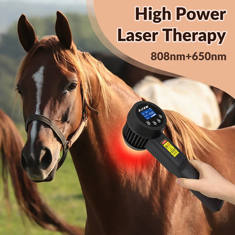 Veterinary Laser Therapy Device 5W 15x808nm 10x650nm Effective for Pain Relief Anti-inflammation Tissue Repair and Wound Healing