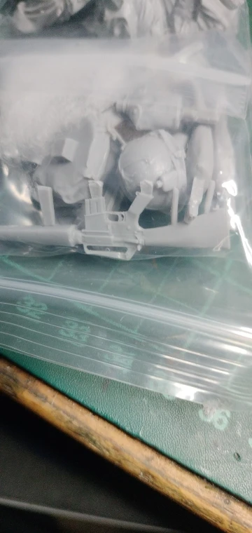 Buyer photo of this resin kit