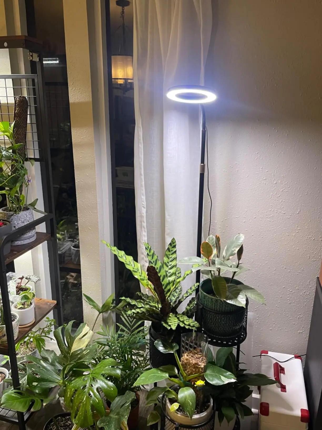 Plant Grow Light,for Indoor Plants Full Spectrum,LED Floor Plant Growing Lamp with Height Adjustable Stand,for Small Large Plant