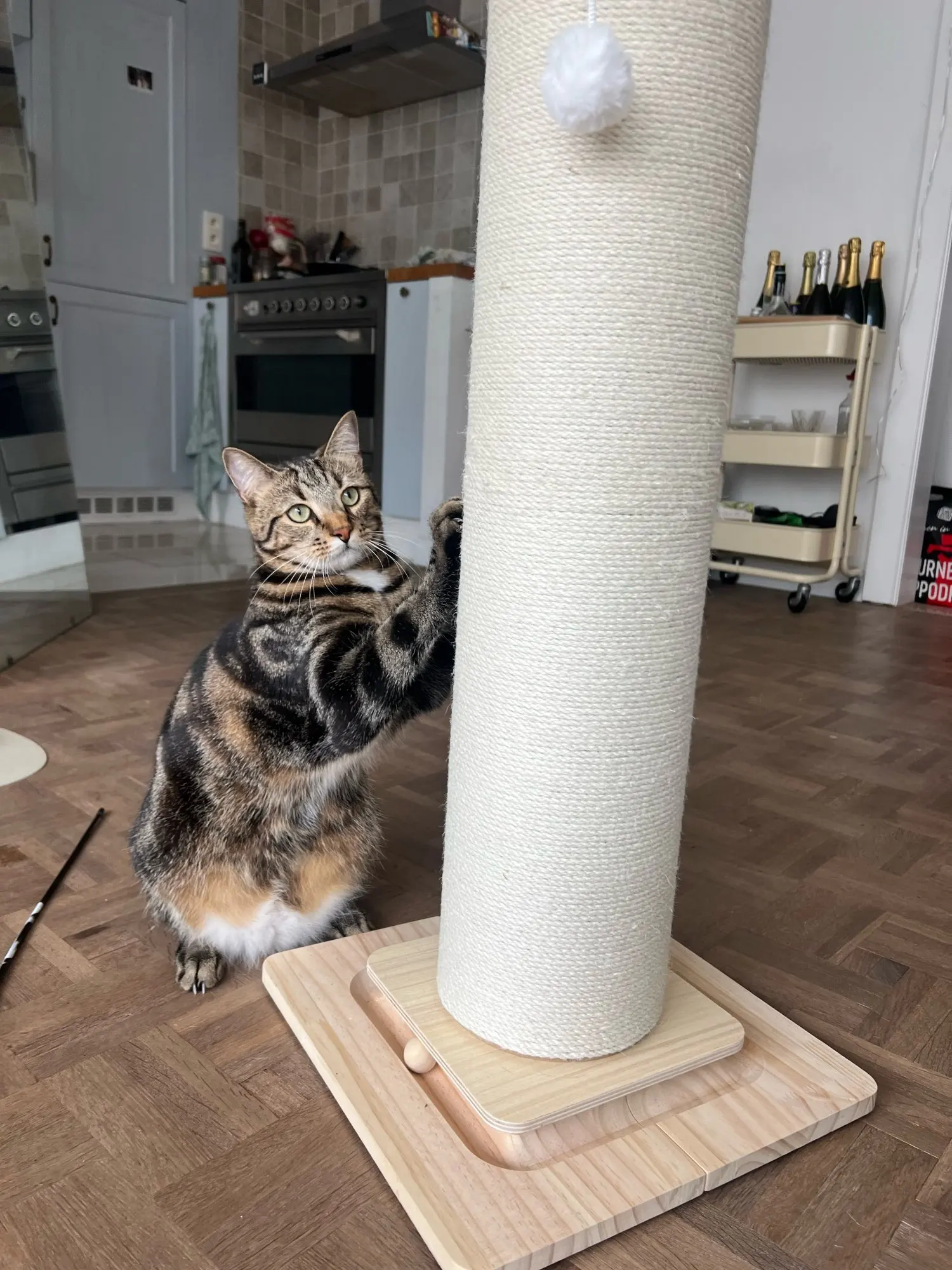 Photo sent by a customer