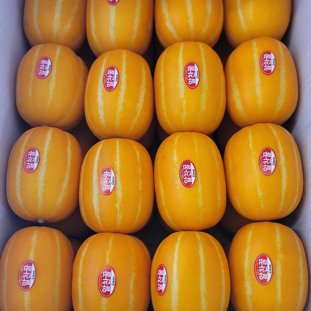 24년 성주 못생겨도 꿀 참외 못난이 사이즈 혼합 실중량 3kg 4.5kg 10kg