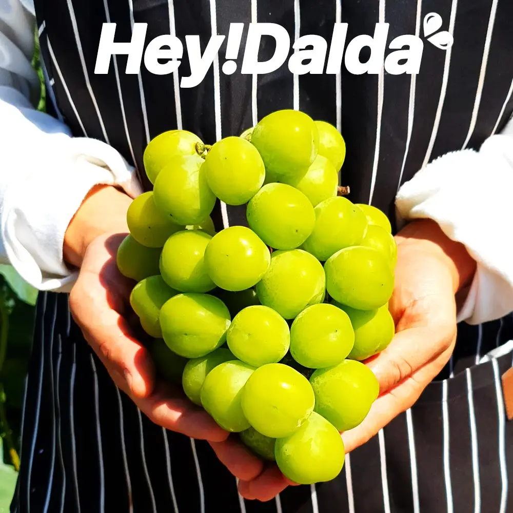 [Heydalda] Taste guarantee Shyin Musket 2kg Blue grapes Shyin Muscat