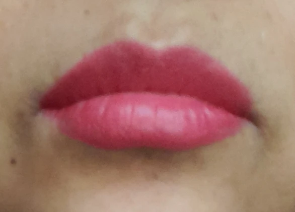1pcs Matte Lip Gloss Lipstick, High Pigment Waterproof Velvet Long Lasting, Deep Red, Nude, Y2K Christmas Valentine's Day Gifts photo review