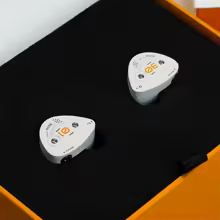 DUNU DK3001BD IEM イヤホン 特別割引