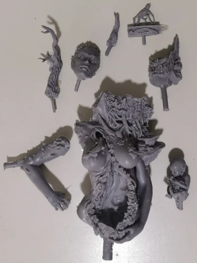 Buyer photo of this resin kit