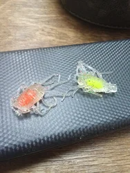 Imagen de reseña 1