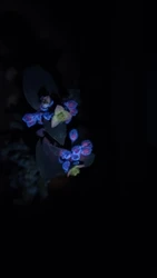 Imagen de reseña 2