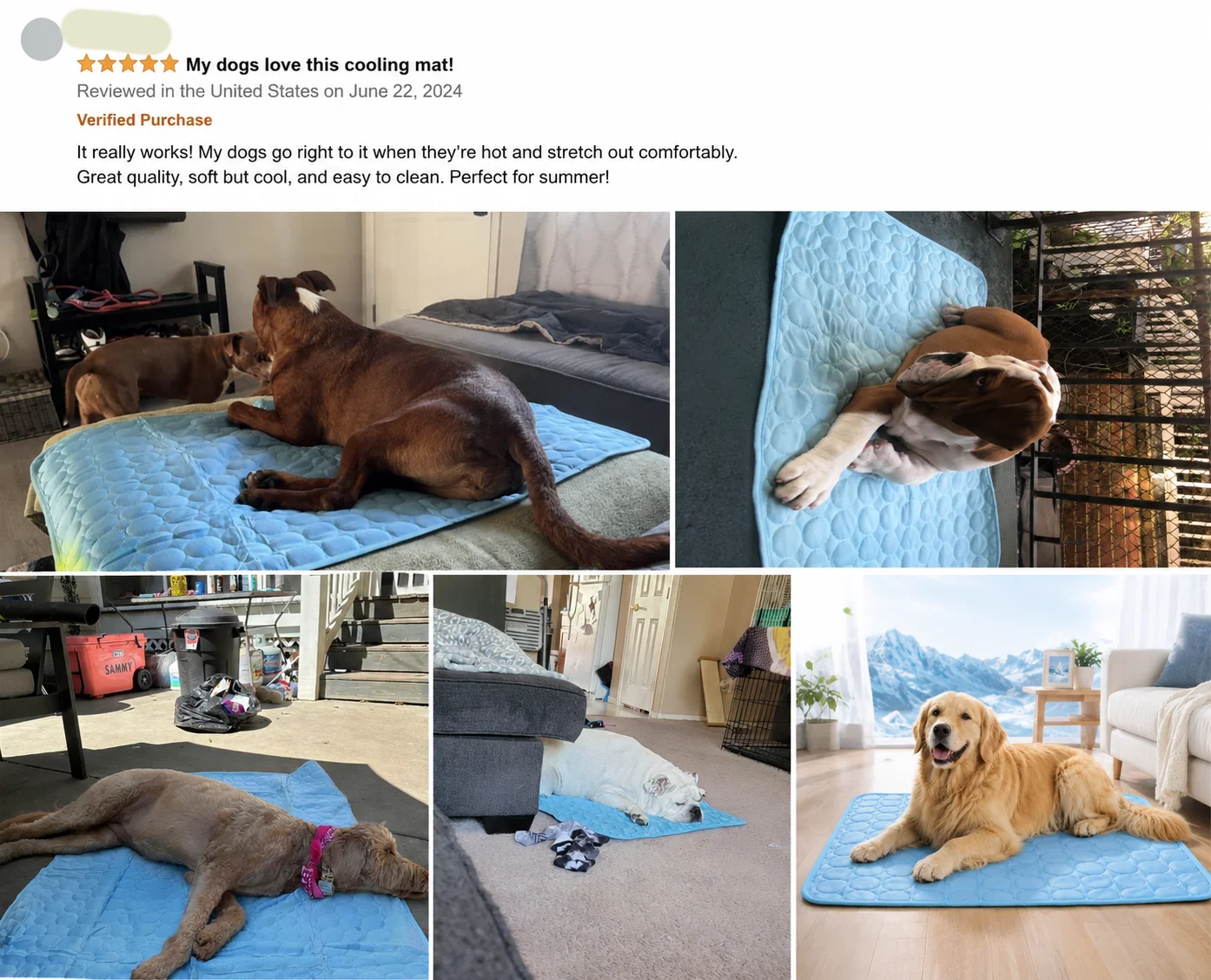 Yazlık Evcil Hayvan Minderi So - Pet Supplies Self Wash incelemesi ve fiyatı