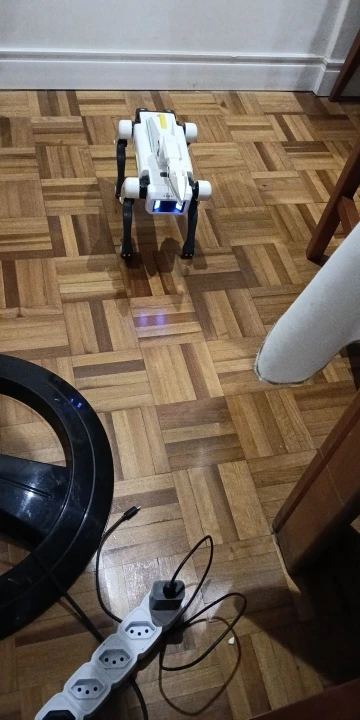 실물 포토 리뷰