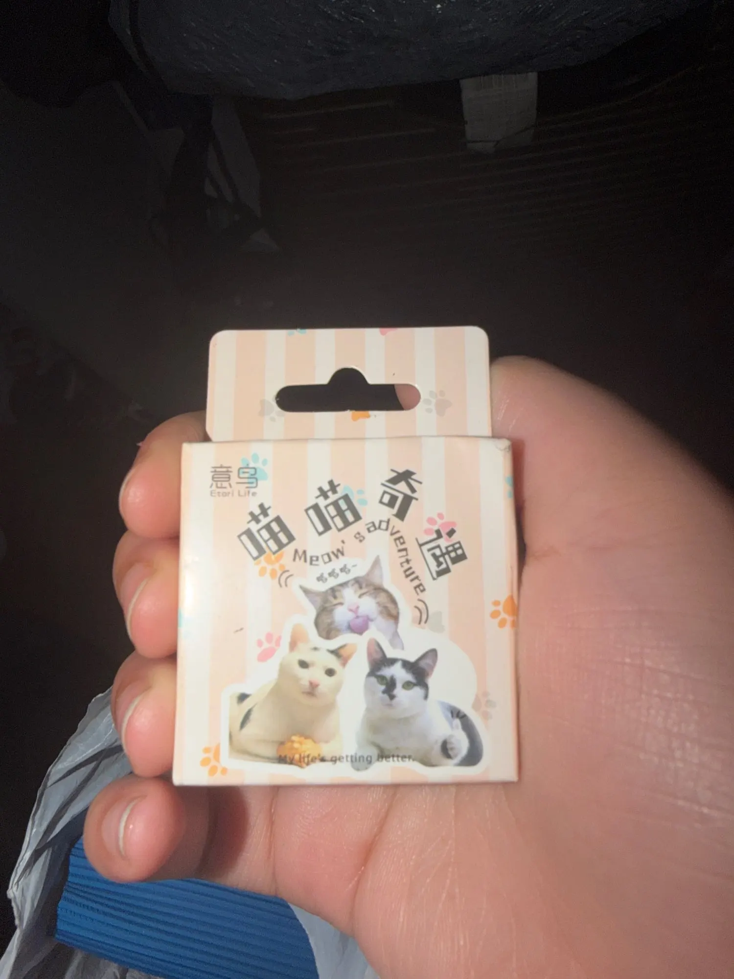 리뷰 사진
