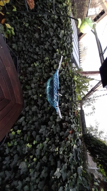 New Bird Flower Shaped Hanging Bird Feeder Birdbath For Garden Yard Farm Supplies Hummingbird Feeder Supplies Birdbath Bird Bath photo review