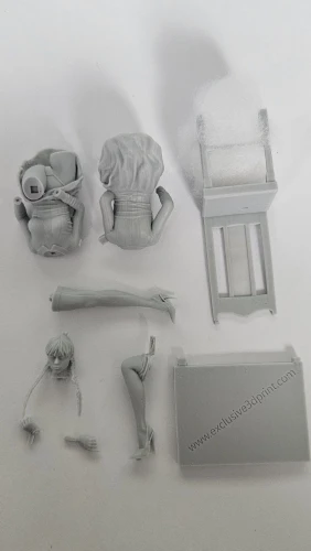 Buyer photo of this resin kit