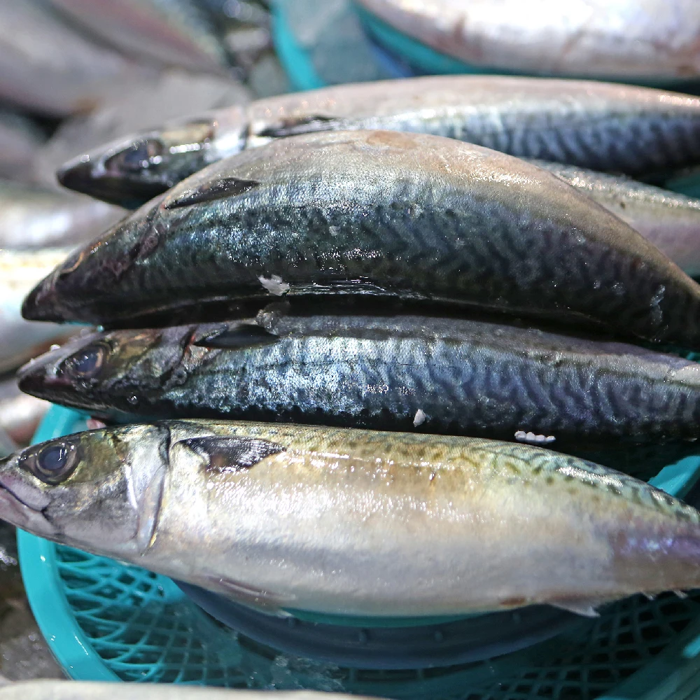 1 pack of domestic outsize woven semi-dried mackarfish, about 350g