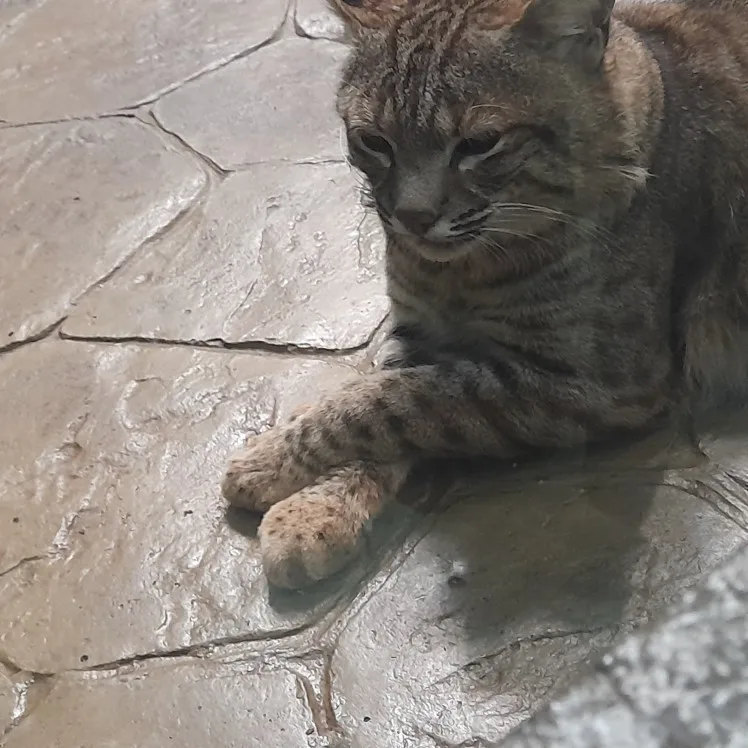구매후기