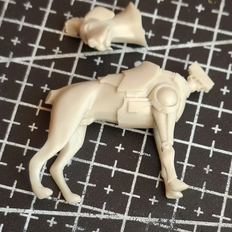 Buyer photo of this resin kit