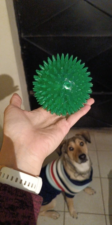 New Pet Toy Ball Cat Puppy Sounding Toy Tooth Cleaning Ball Training Pet Teeth Chewing Toy Thorn Balls Accessories photo review