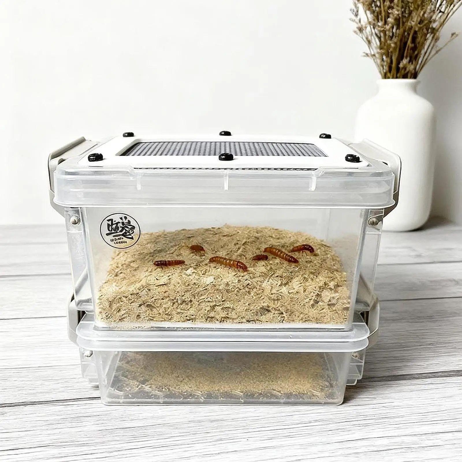Transparente Kakerlaken-Fütterungsbox, wiederverwendbare Mehlwürmer-Zuchtbox, Mini-Mahlwürmerbehälter für Haustier-Terrarium, Brutbehälter