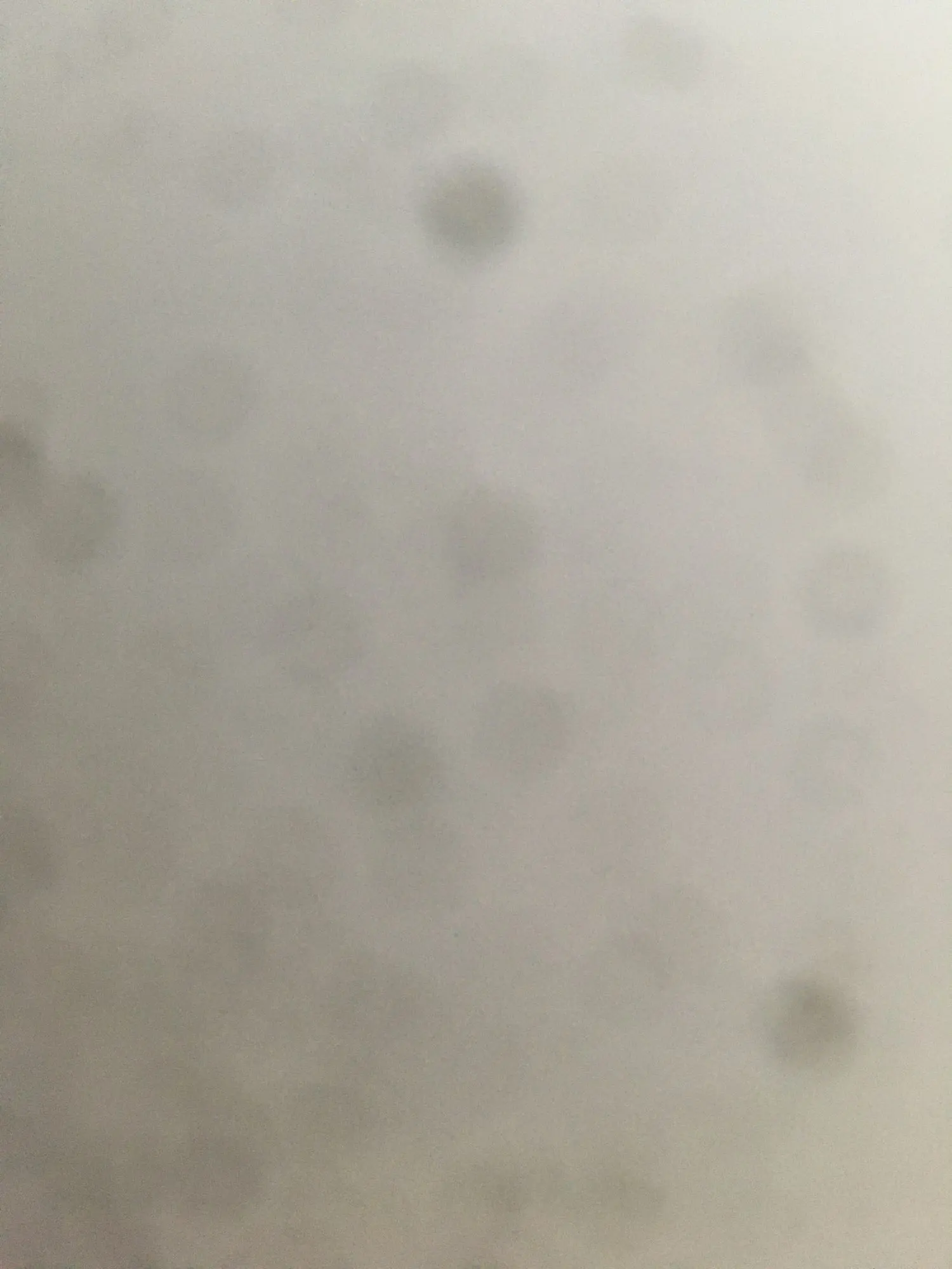 Buyer photo of this resin kit