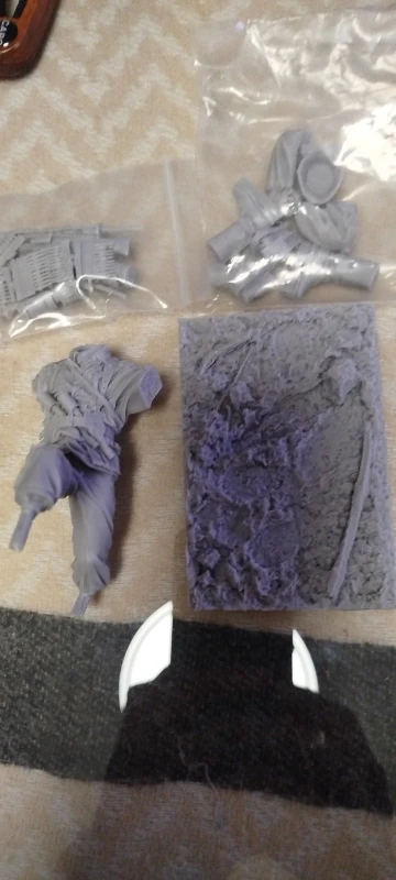 Buyer photo of this resin kit