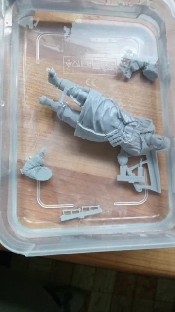 Buyer photo of this resin kit