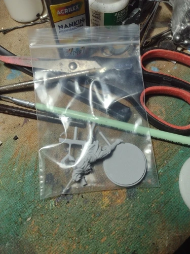Buyer photo of this resin kit