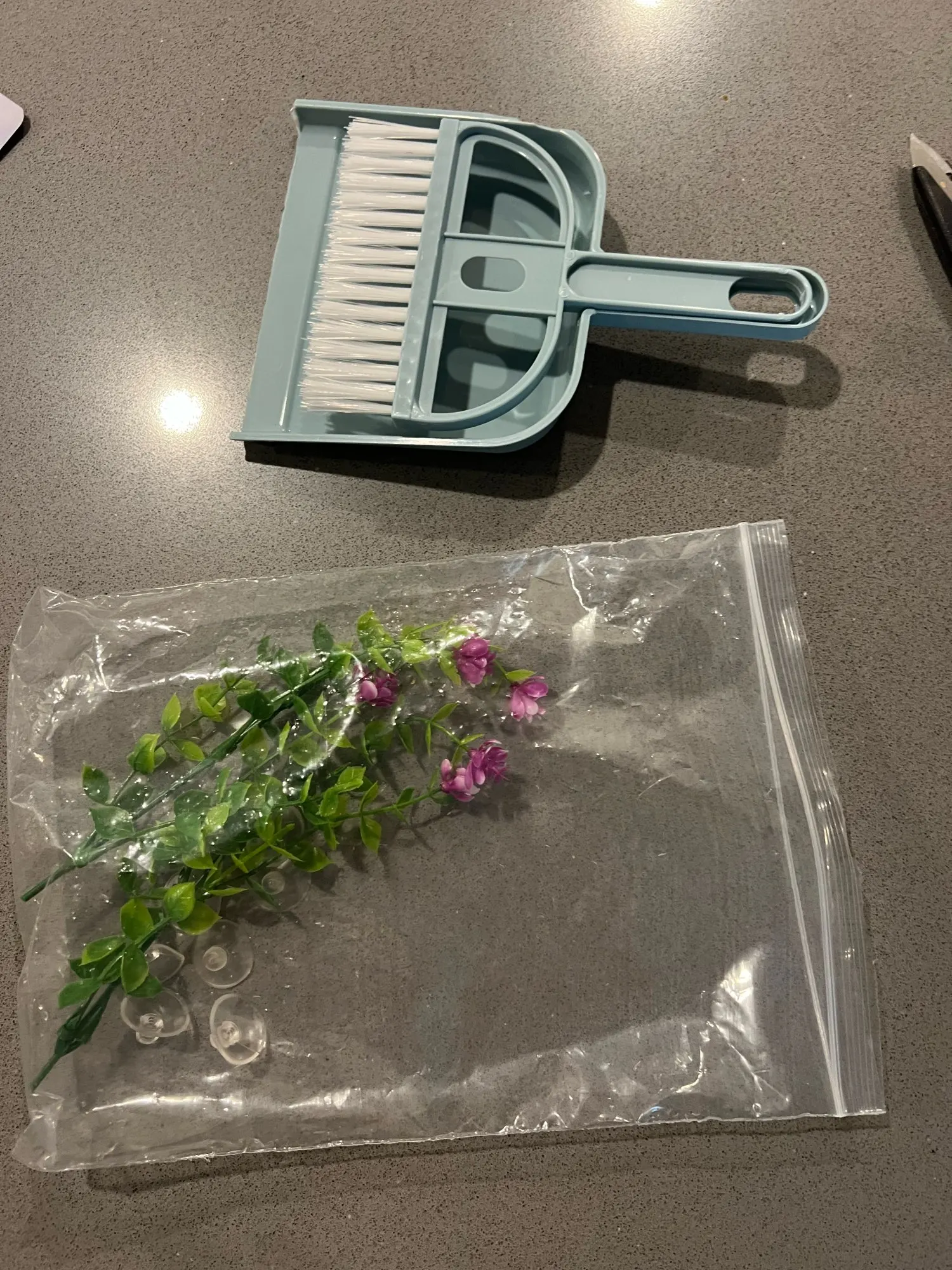 Review image 3
