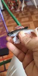 Imagen de reseña 2