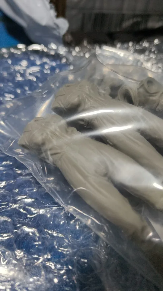 Buyer photo of this resin kit