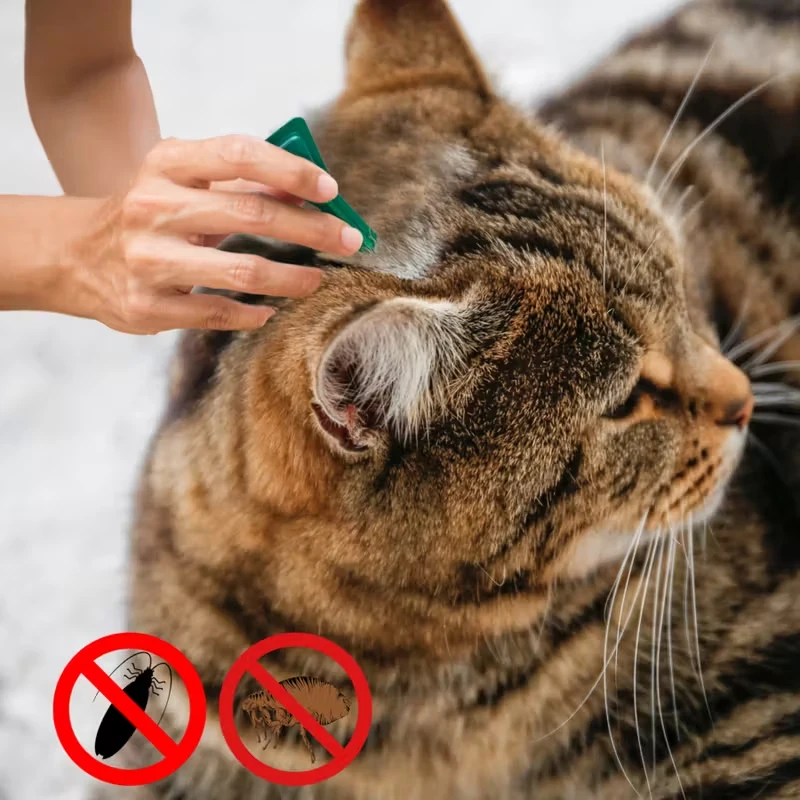 Pet Flea&tick Drops Effectively Repel Fleas Keep Skin Healthy Improve Hair Gloss Anti Skin Itching Pet External Deworming Drops