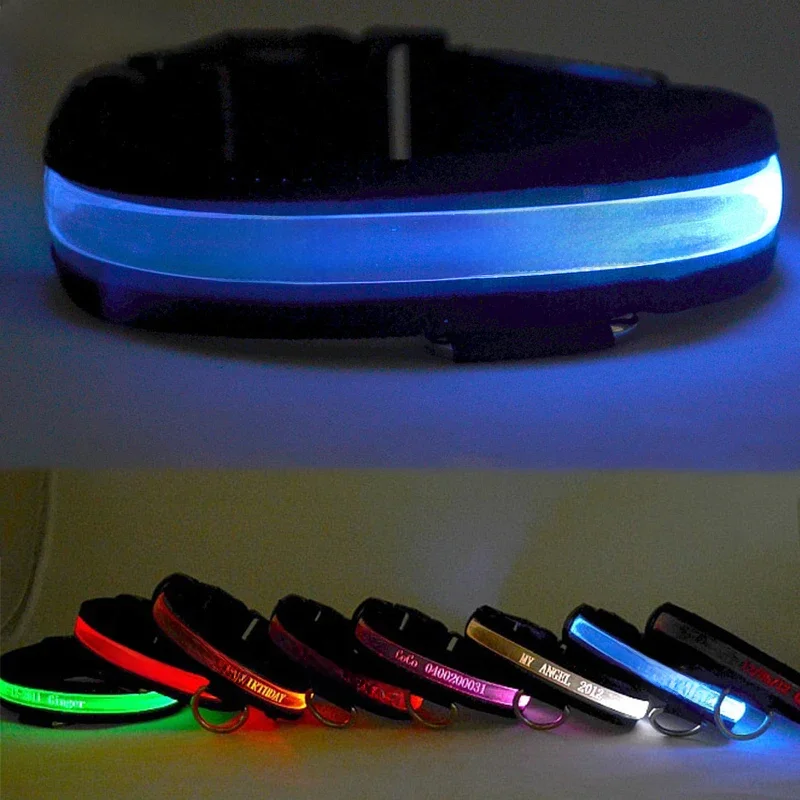 Collier de chien en nylon personnalisé avec lettrage LED, étiquette de chien personnalisée, collier de chat réglable, lumière LED plonger oyante, sécurité nocturne