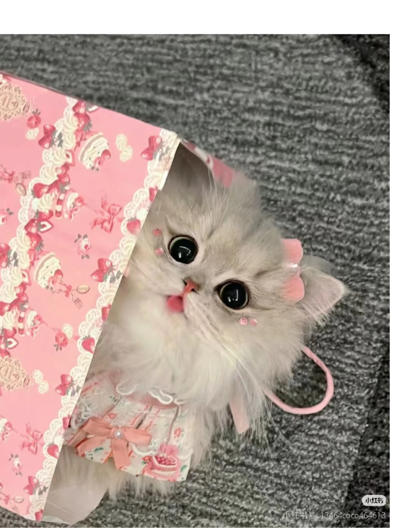 

Портативный аппарат для вакуумной кавитации 8 в 1, 40K, для коррекции фигуры, липосакции, сжигания жира, антицеллюлитного массажа, гуаша-терапии, с 8 липо-накладками