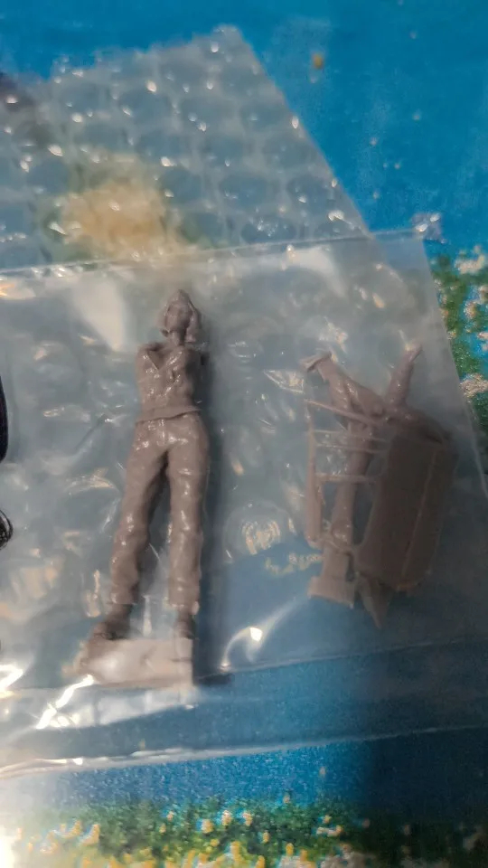 Buyer photo of this resin kit