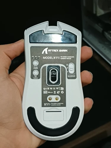 리뷰 사진