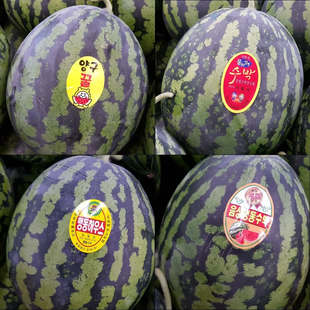 [깊은향기] 지역명품 꿀수박