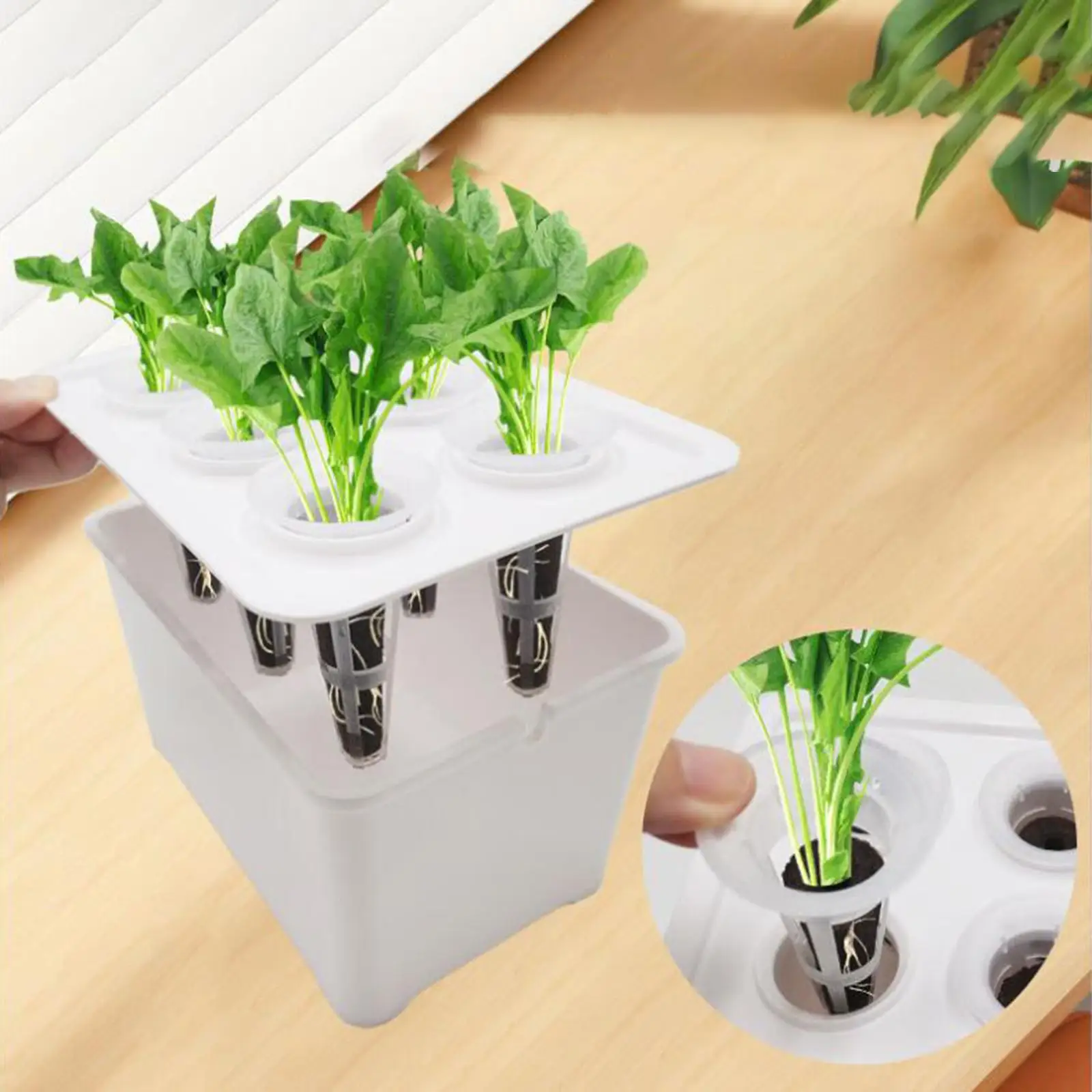 Indoor Hydroponics Growing Kit Gardening Nursery Pots Garden Plant Germination Kit for Balcony Lettuce Beet Canola