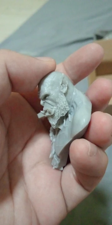 Buyer photo of this resin kit