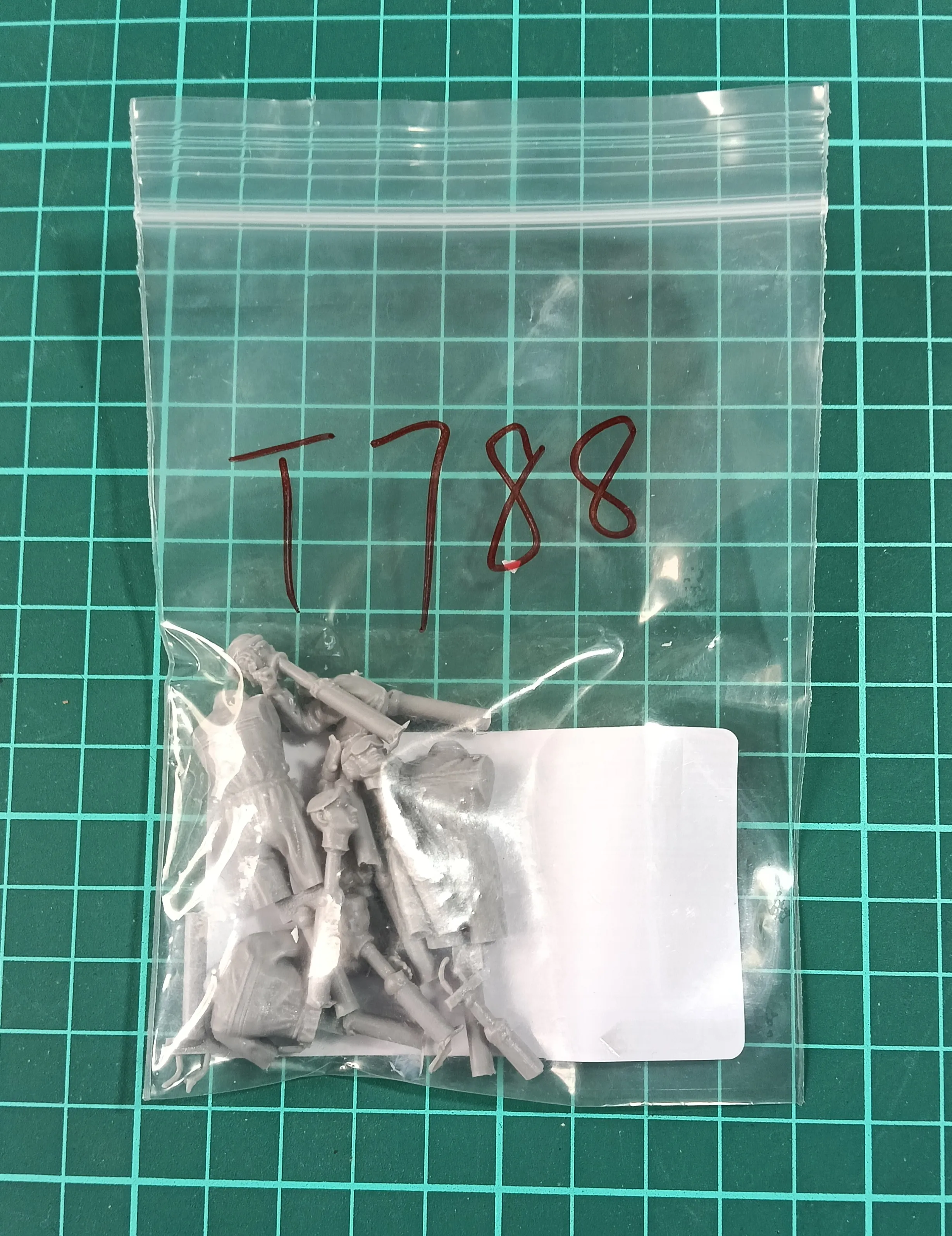 Buyer photo of this resin kit