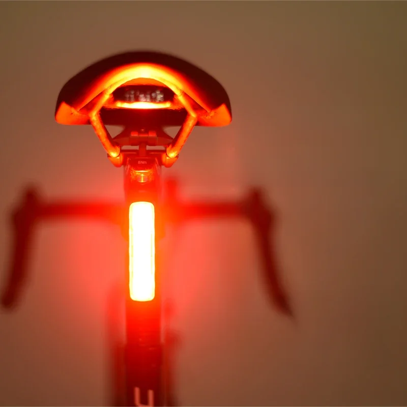 AliExpress enlee Enfitnix XlitET Auto Start Stop Brake Sensing Flashlight For Bicycle Rear Light LED USB Charging