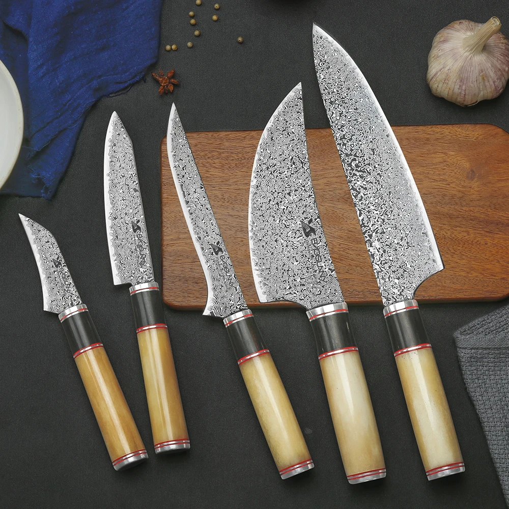 BIGSUNNY 5 pcs Knife Set Handmade Knives Chef Knife Set - damascus steel with Camel Bone Handle