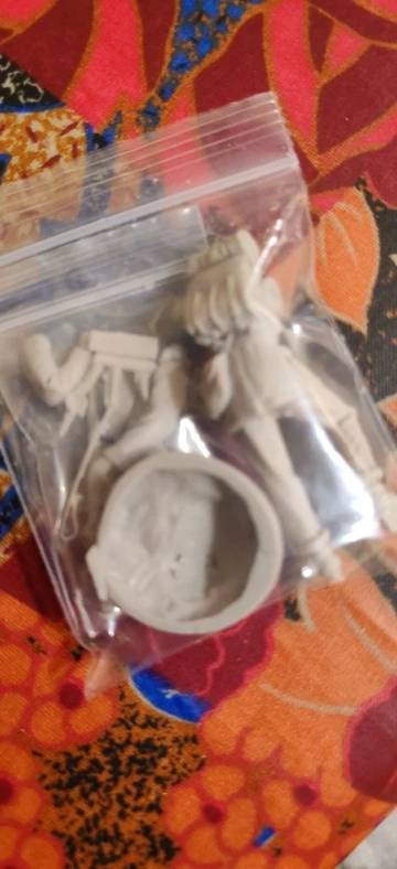 Buyer photo of this resin kit