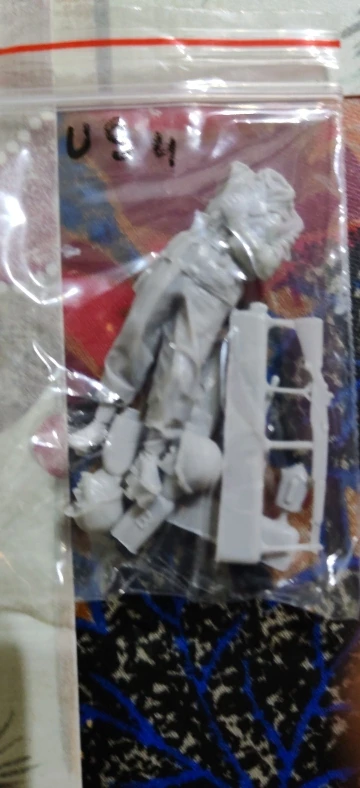 Buyer photo of this resin kit