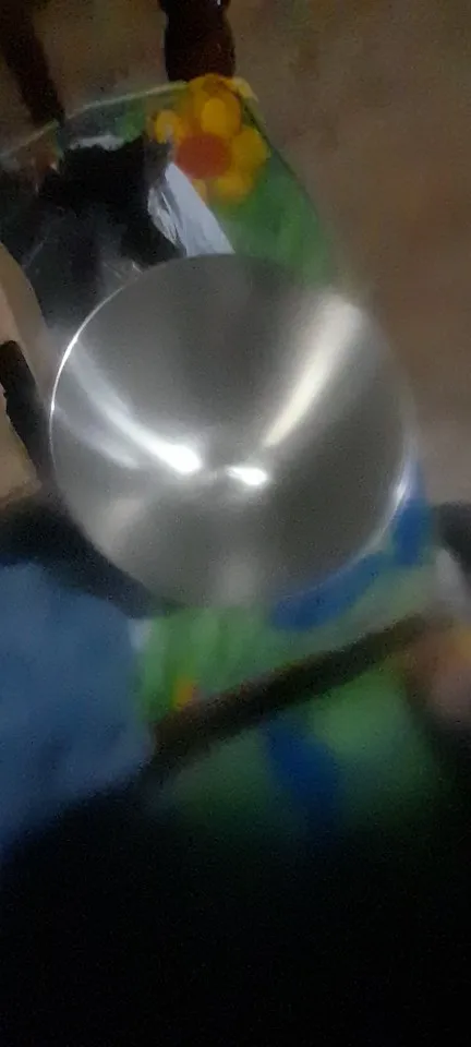 실물 포토 리뷰