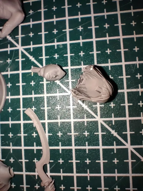 Buyer photo of this resin kit