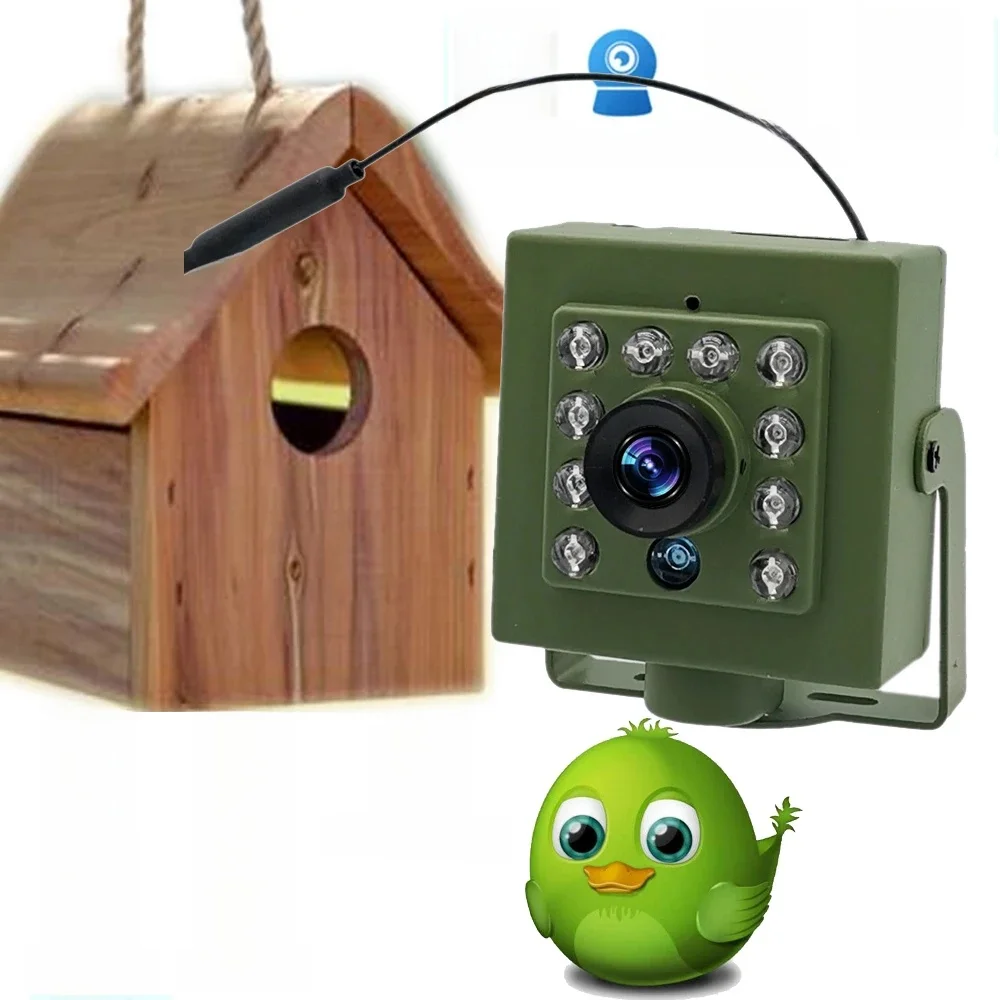 Groene Wifi Vogelbox Camera Audio 1920P 1080P IR CUT Nachtzicht RTSP FTP Mini IP IPC Huisdier Nest Vogels Kijken 2.8mm lens Camhi - afbeelding 2