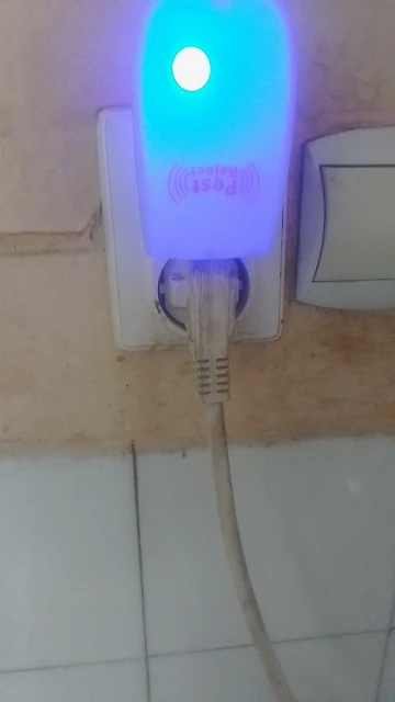 리뷰 사진