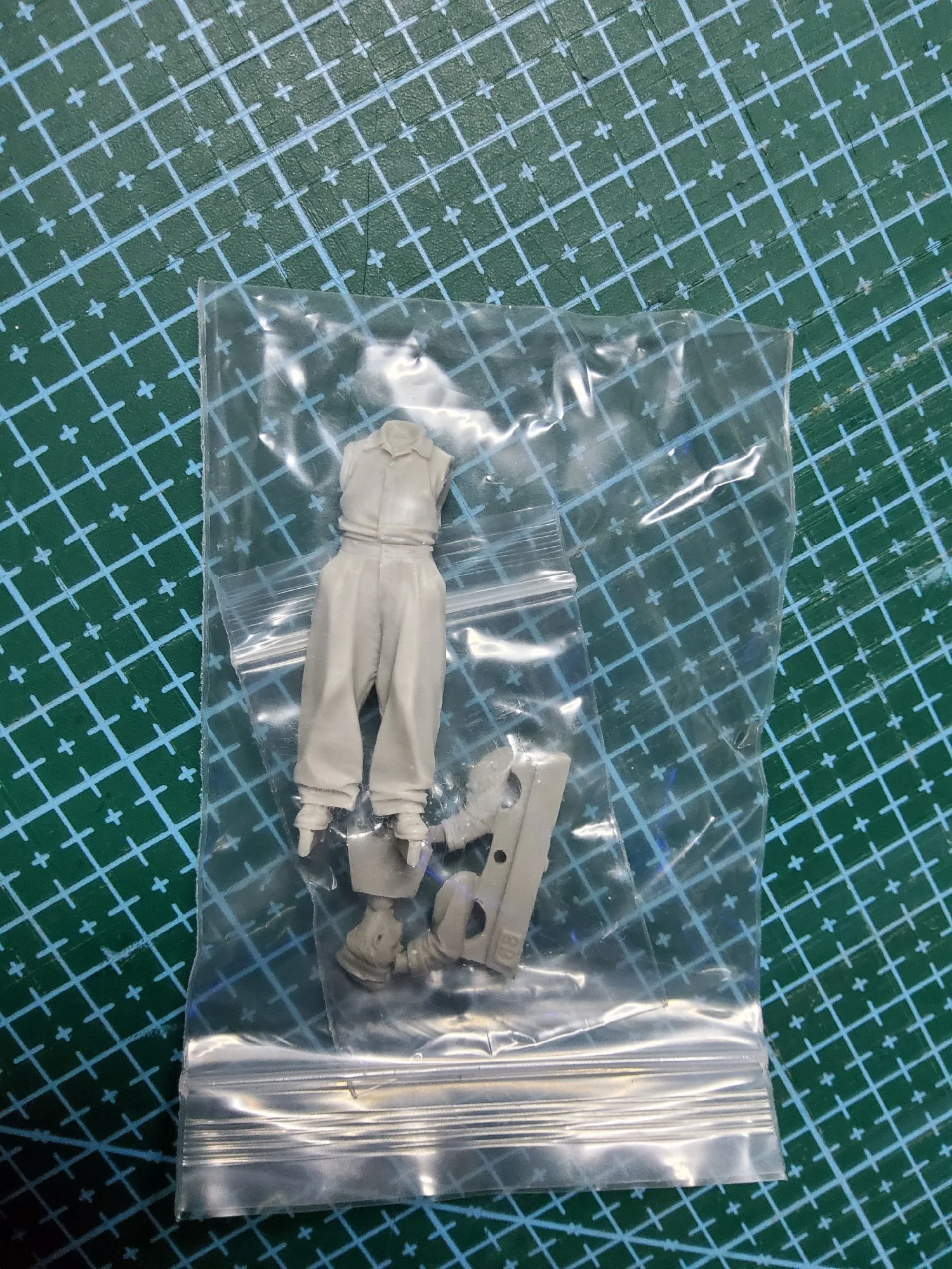 Buyer photo of this resin kit