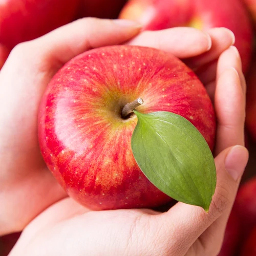 [산지직송] 깊은산골 햇 사과(중) 3.2kg/11-12과  Best5