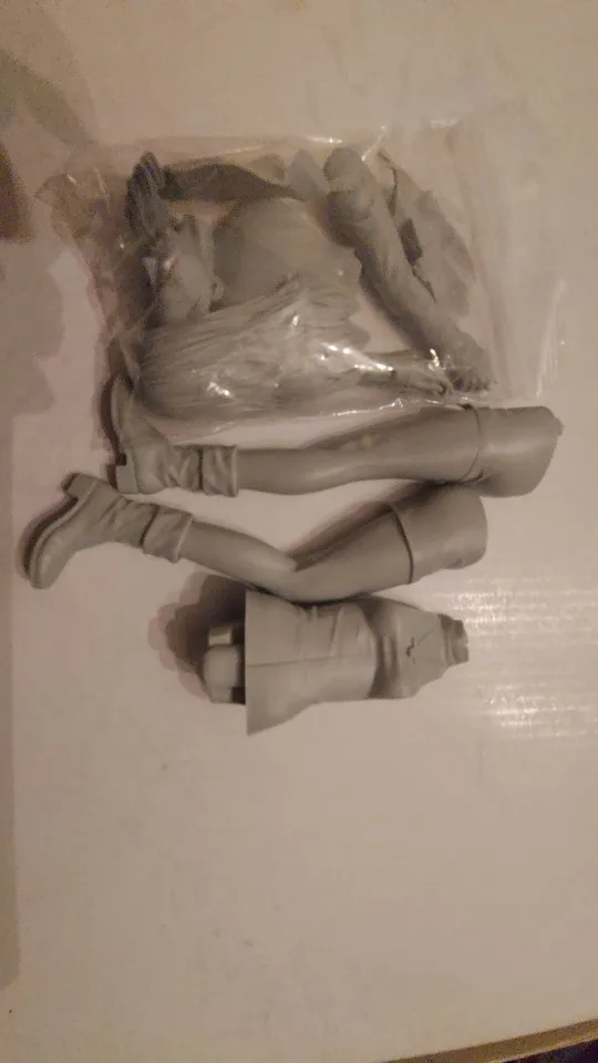 Buyer photo of this resin kit