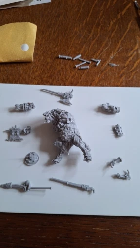 Buyer photo of this resin kit